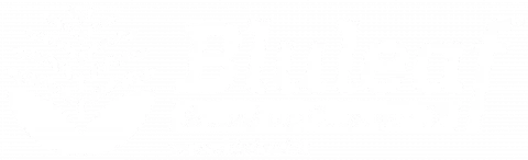 bluleaf-logo